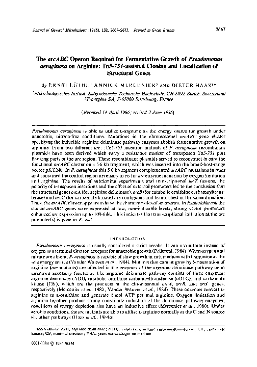 (PDF) The arcABC Operon Required for Fermentative Growth of Pseudomonas ...