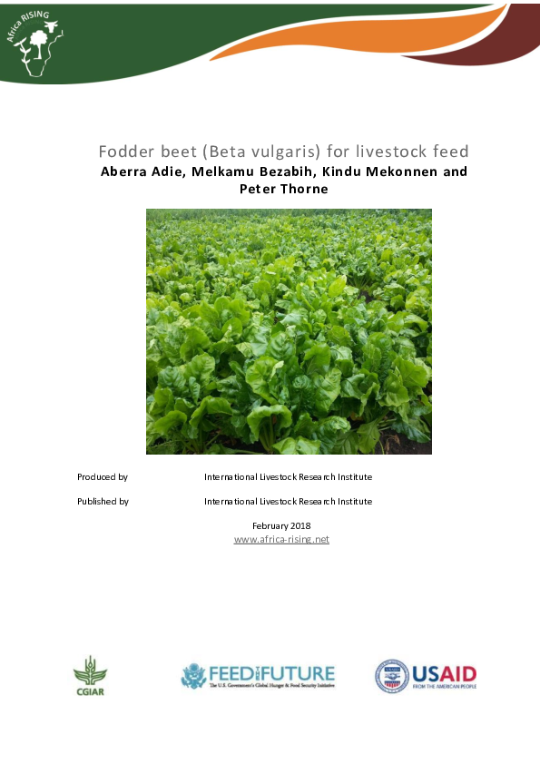 (PDF) Fodder beet (Beta vulgaris) for livestock feed