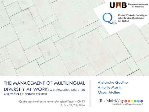 (PDF) The management of multilingual diversity at work