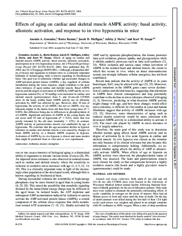 (PDF) Effects of aging on cardiac and skeletal muscle AMPK activity ...