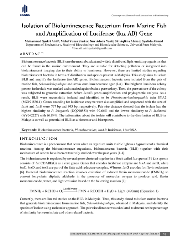 (PDF) Isolation of Bioluminescence Bacterium from Marine Fish and ...