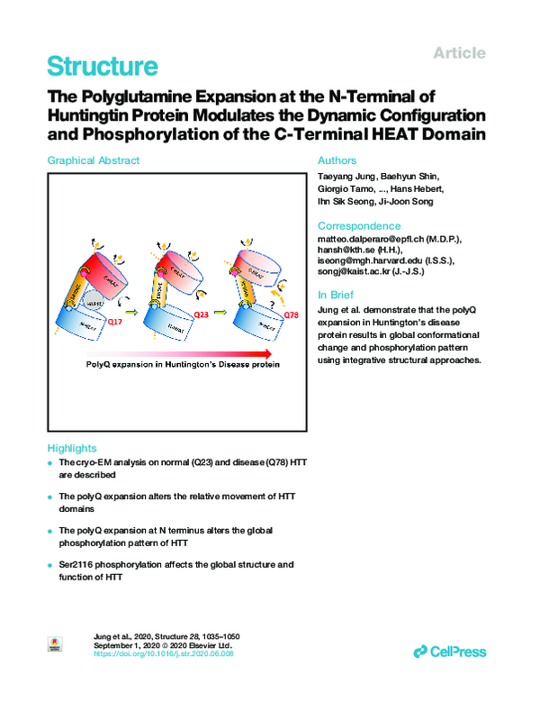 (PDF) The Polyglutamine Expansion at the N-Terminal of Huntingtin ...