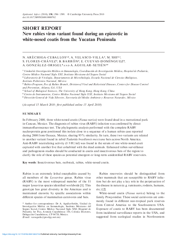 (PDF) New rabies virus variant found during an epizootic in white-nosed