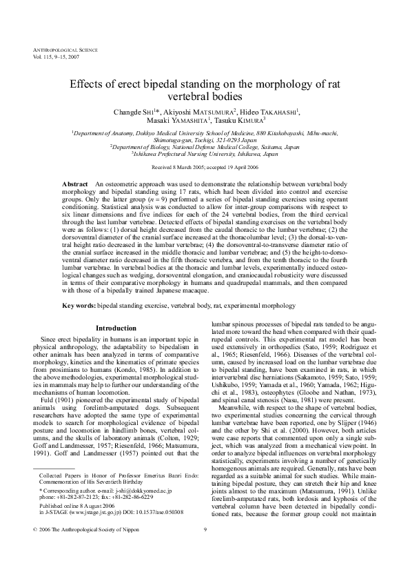 (PDF) Effects of erect bipedal standing on the morphology of rat ...