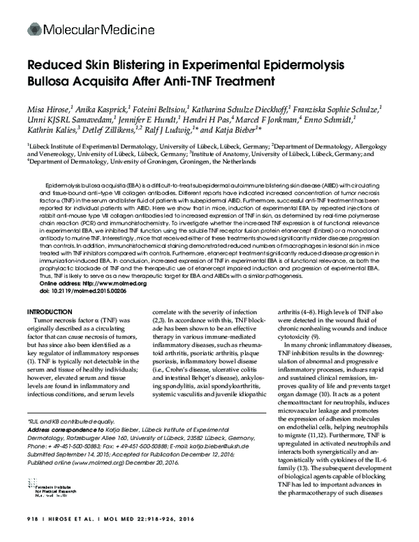 (PDF) Reduced skin blistering in experimental epidermolysis bullosa ...