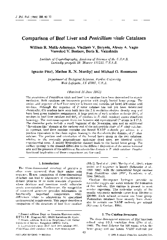(PDF) Comparison of beef liver and Penicillium vitale catalases