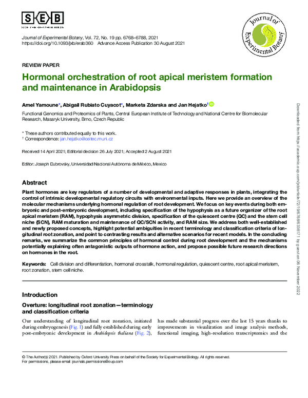 (PDF) Hormonal orchestration of root apical meristem formation and ...