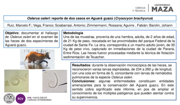 (PDF) Oslerus osleri: reporte de dos casos en Aguará guazú (Crysocyon ...
