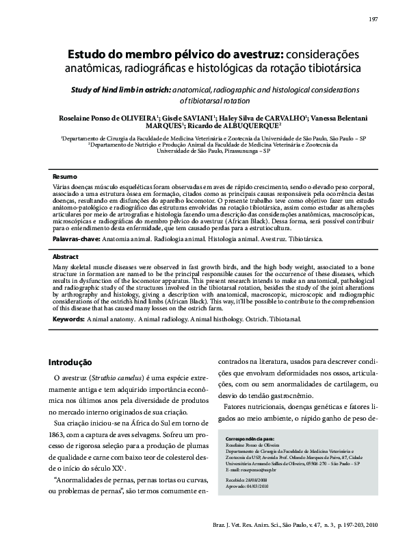 (PDF) Study of hind limb in ostrich: anatomical, radiographic and ...