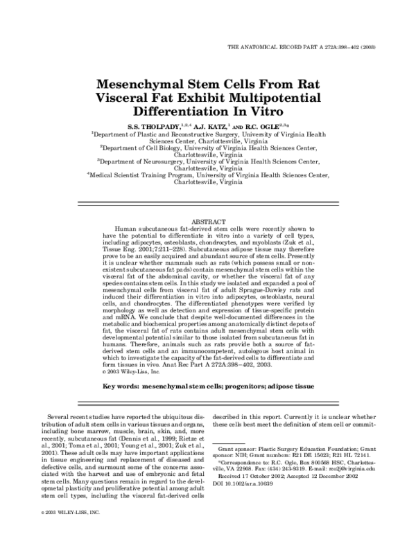 (PDF) Mesenchymal stem cells from rat visceral fat exhibit ...