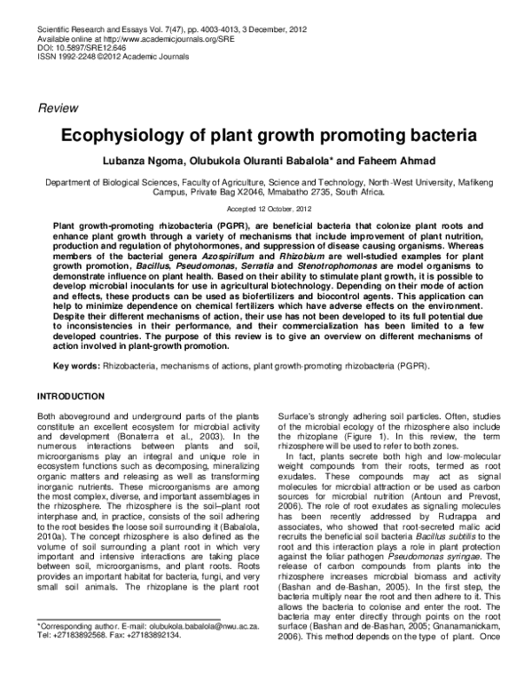 (PDF) Ecophysiology of plant growth promoting bacteria
