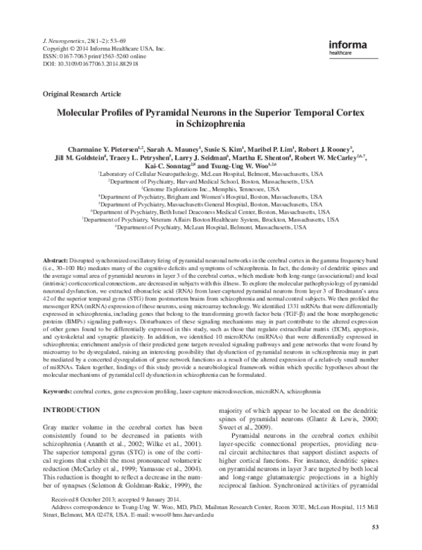 (PDF) Molecular Profiles of Pyramidal Neurons in the Superior Temporal ...
