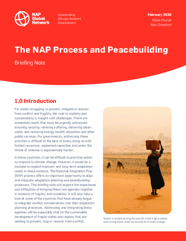 (PDF) The NAP Process and Peacebuilding