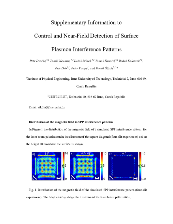 (PDF) Control and Near-Field Detection of Surface Plasmon Interference ...