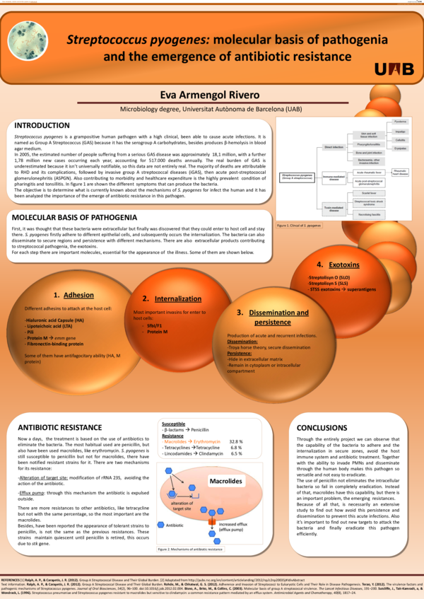 (PDF) Streptococcus pyogenes : molecular basis of pathogenia and the ...