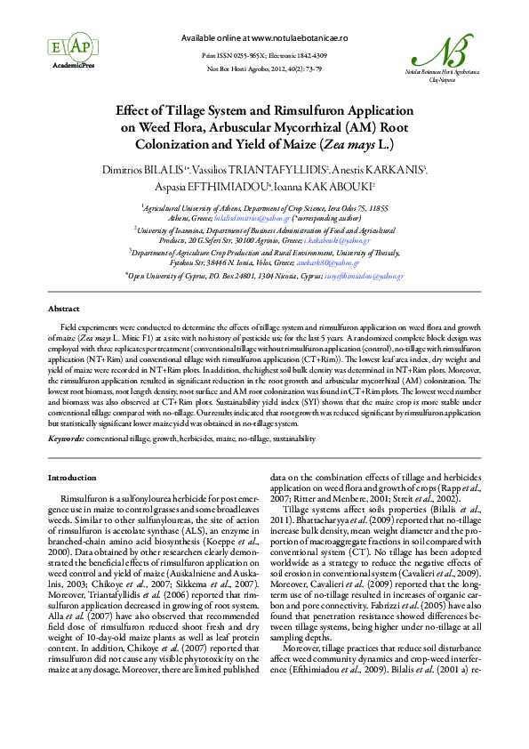 (PDF) Colonization and Yield of Maize (Zea mays L.)
