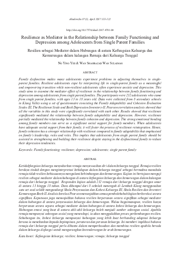 (PDF) Resilience as Mediator in the Relationship between Family ...