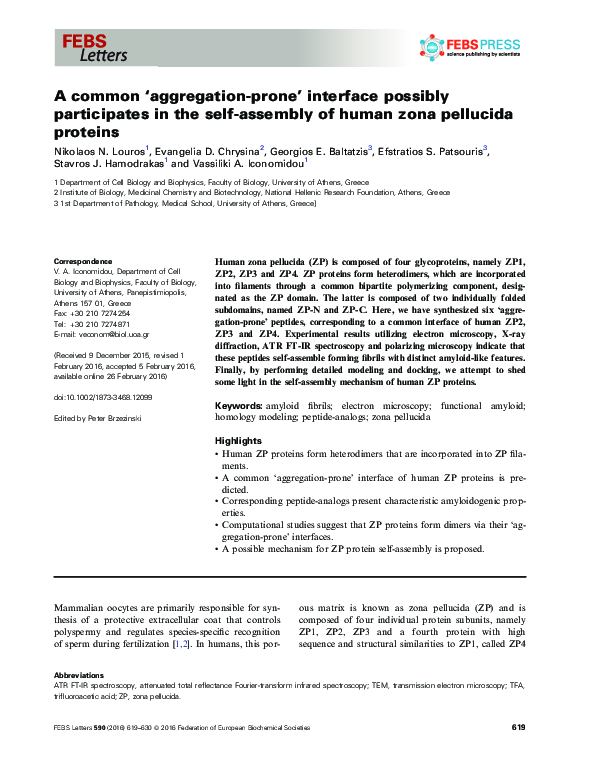 (PDF) A common ‘aggregation-prone’ interface possibly participates in ...