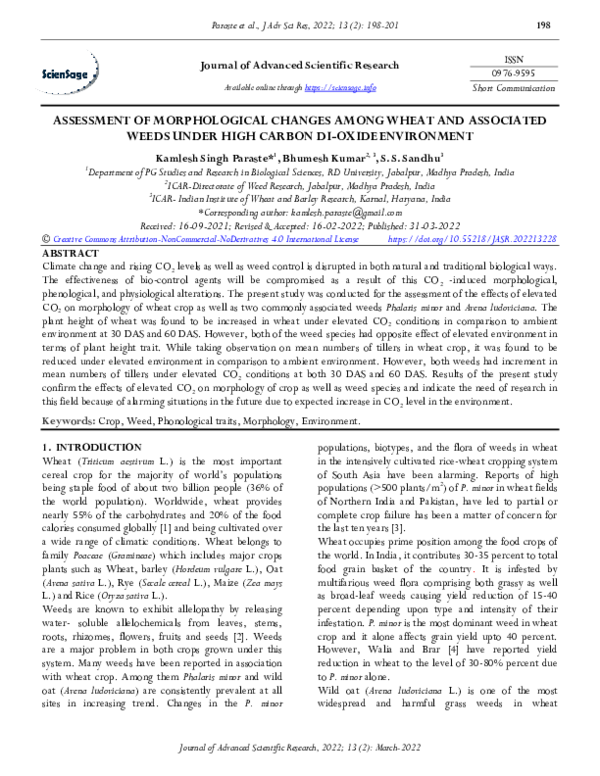 (PDF) Assessment of Morphological Changes Among Wheat and ...