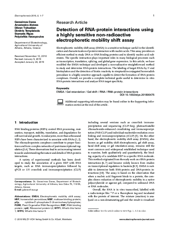 (PDF) Detection of RNA-protein interactions using a highly sensitive ...