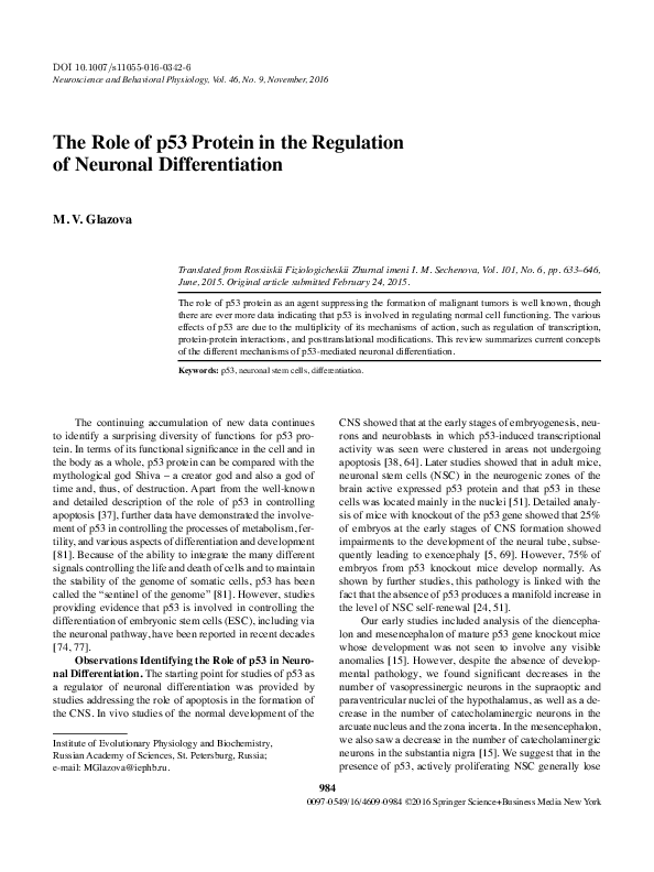(PDF) The Role of p53 Protein in the Regulation of Neuronal Differentiation