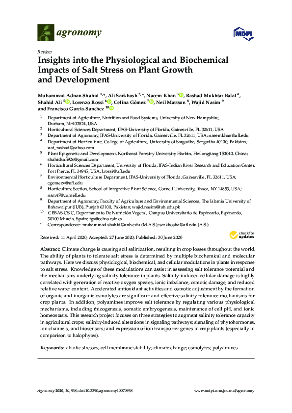 (PDF) Insights into the Physiological and Biochemical Impacts of Salt ...