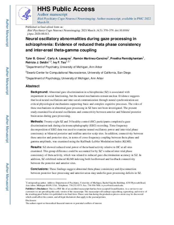 Beautiful view of Gaze And Cognitive Processing