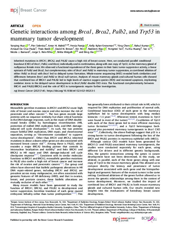 (PDF) Genetic interactions among Brca1, Brca2, Palb2, and Trp53 in ...