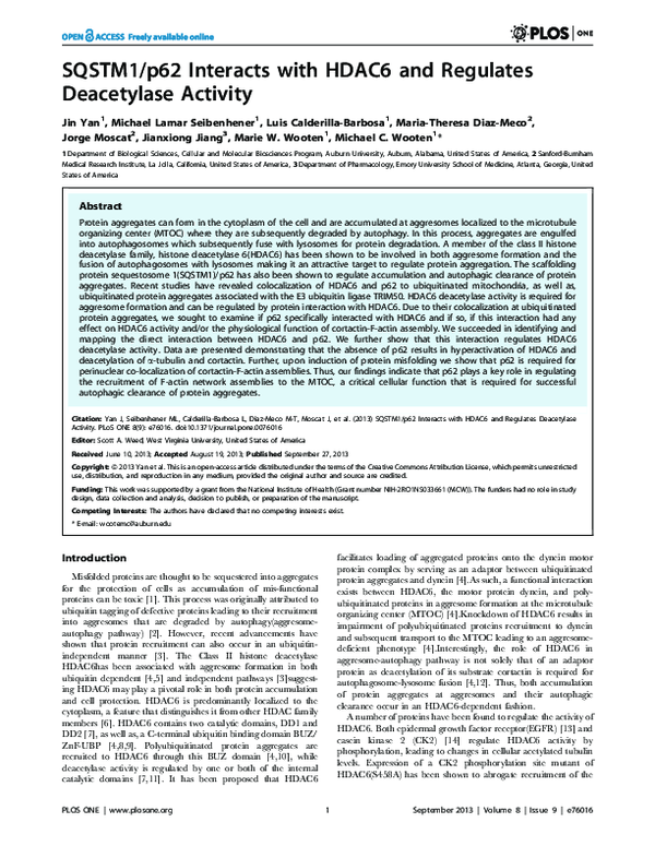 (PDF) SQSTM1/p62 Interacts with HDAC6 and Regulates Deacetylase Activity