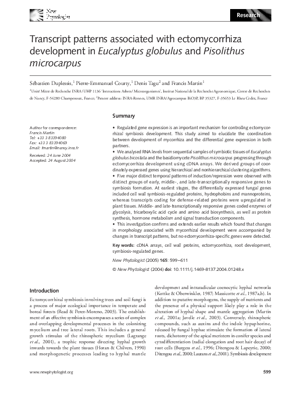 (PDF) Transcript patterns associated with ectomycorrhiza development in ...
