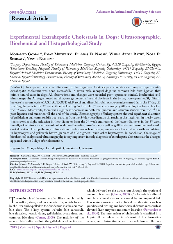 (PDF) Experimental Extrahepatic Cholestasis in Dogs Ultrasonographic