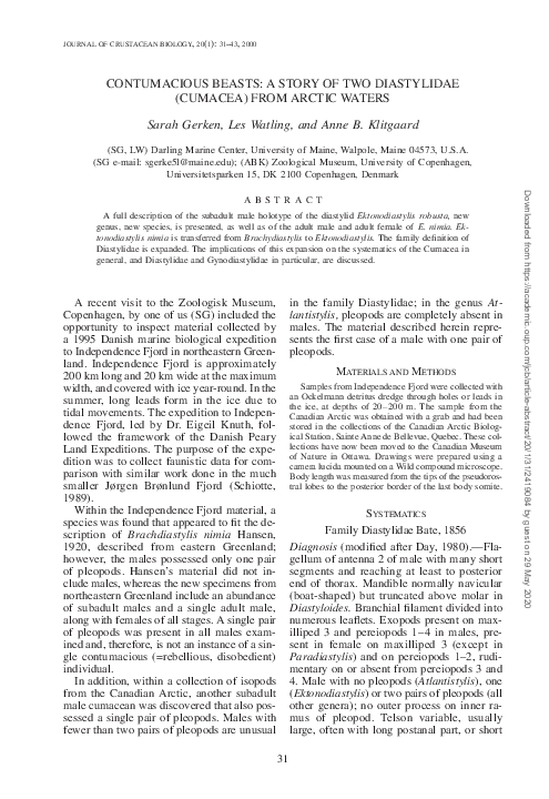 (PDF) Contumacious Beasts: A Story of Two Diastylidae (Cumacea) from ...