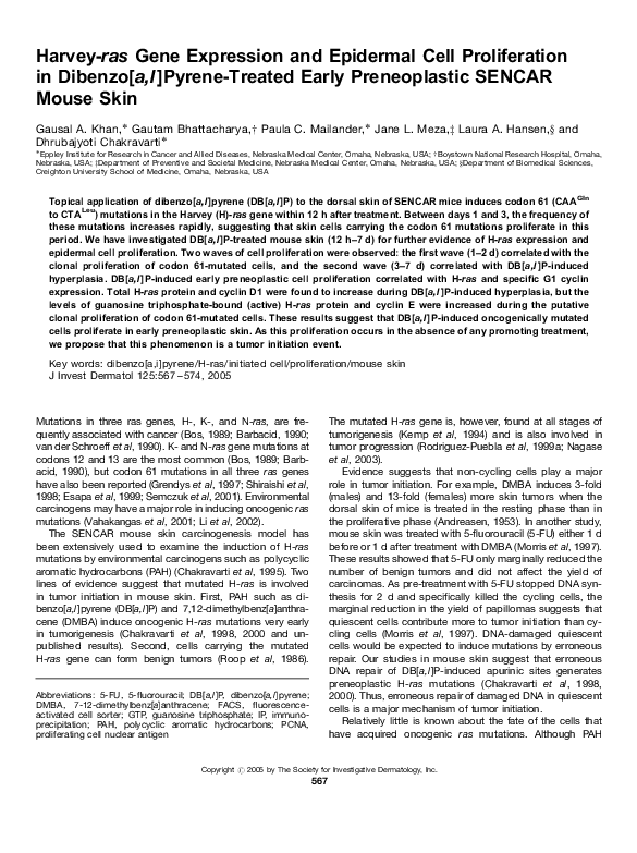 (PDF) Harvey-ras Gene Expression and Epidermal Cell Proliferation in ...