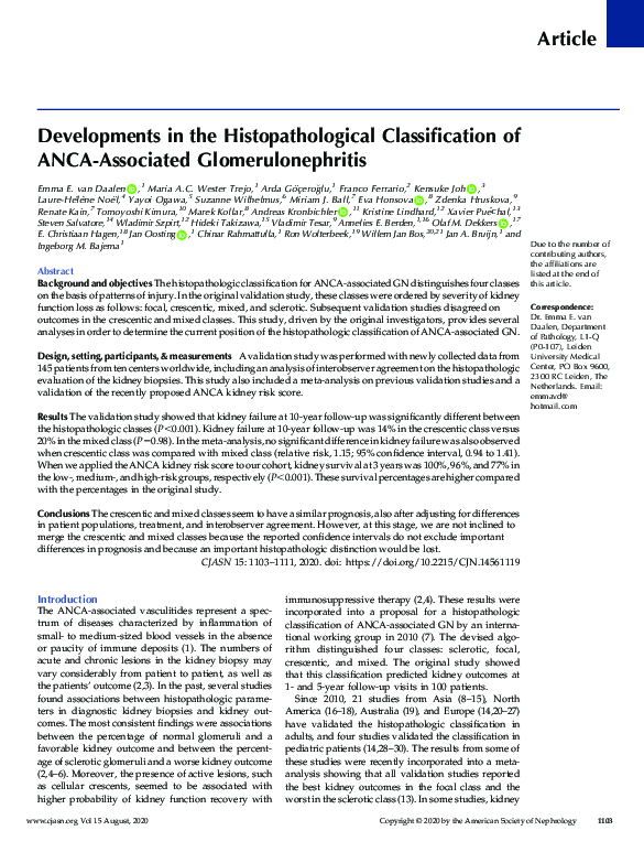 (PDF) Developments in the Histopathological Classification of ANCA ...
