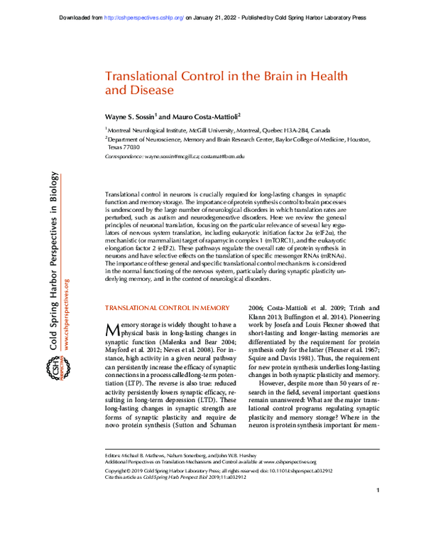 (PDF) Translational Control in the Brain in Health and Disease