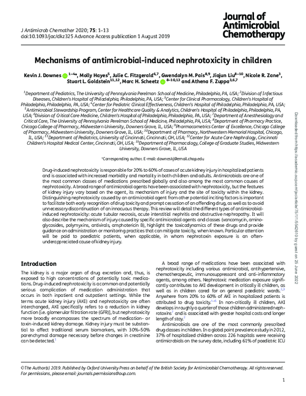 (PDF) Mechanisms of antimicrobial-induced nephrotoxicity in children