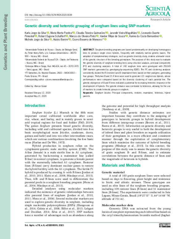 (PDF) Genetic diversity and heterotic grouping of sorghum lines using ...