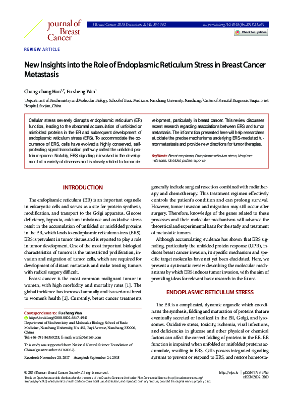 (PDF) New Insights into the Role of Endoplasmic Reticulum Stress in ...