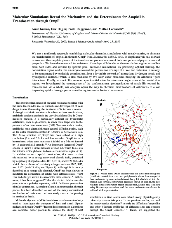 (PDF) Molecular Simulations Reveal the Mechanism and the Determinants ...