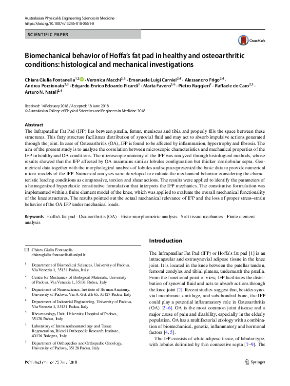 (PDF) Biomechanical behavior of Hoffa's fat pad in healthy and ...