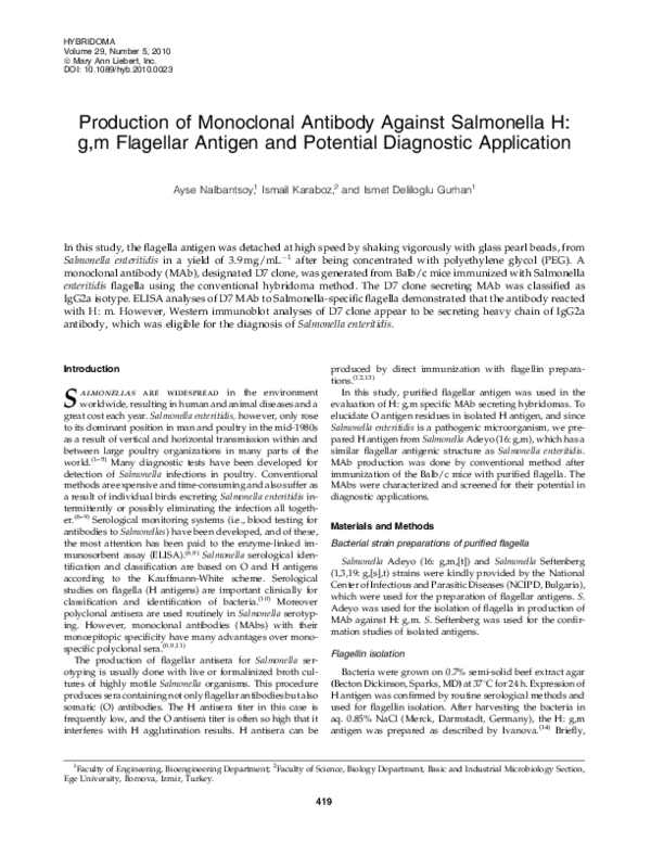 (PDF) Production of Monoclonal Antibody Against Salmonella H: g,m ...