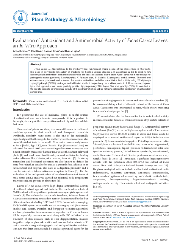 (PDF) Evaluation of Antioxidant and Antimicrobial Activity of Ficus ...