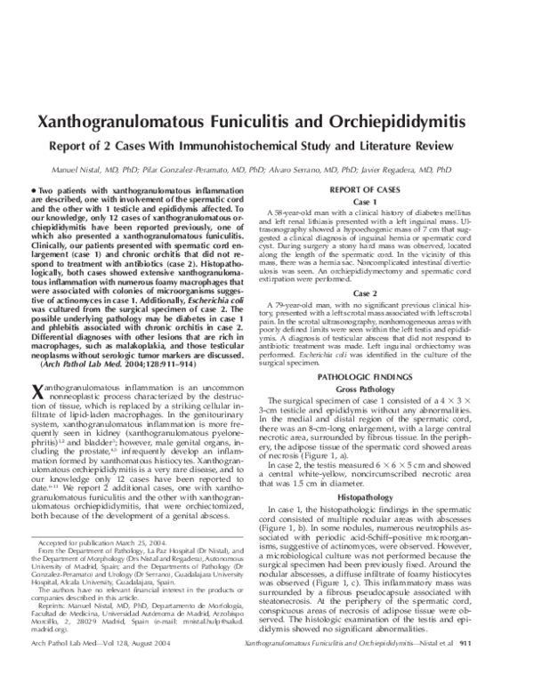 (PDF) Xanthogranulomatous funiculitis and orchiepididymitis: report of ...
