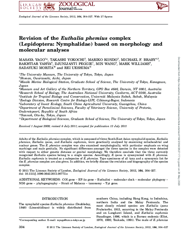 (PDF) Revision of the Euthalia phemius complex (Lepidoptera ...