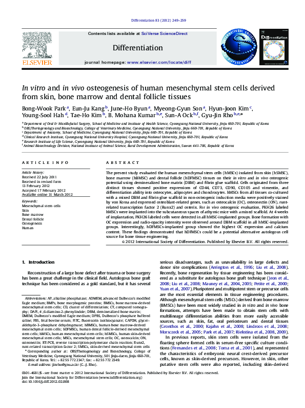 (PDF) In vitro and in vivo osteogenesis of human mesenchymal stem cells ...