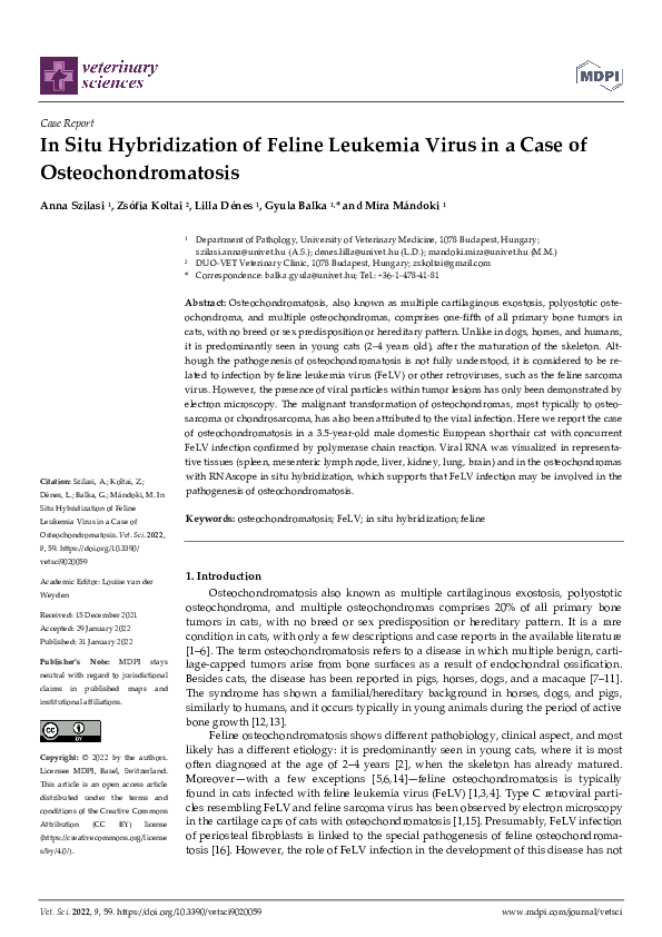 (PDF) In Situ Hybridization of Feline Leukemia Virus in a Case of