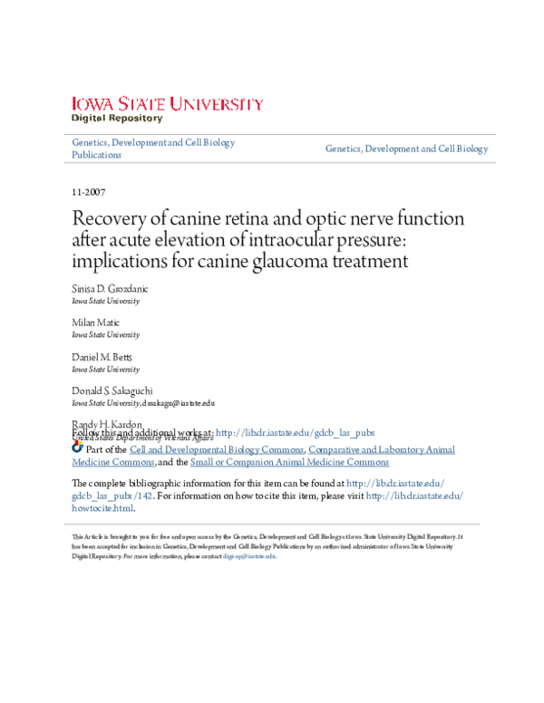 (PDF) Recovery of canine retina and optic nerve function after acute ...
