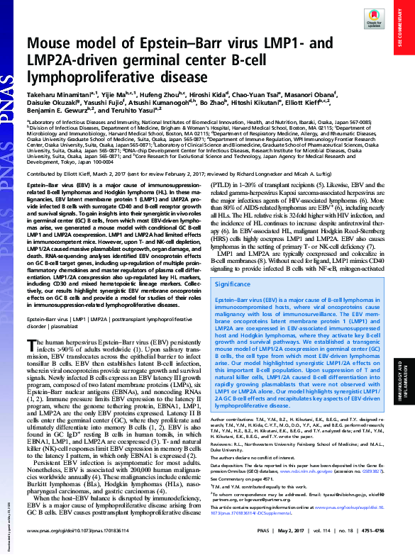 (PDF) Mouse model of Epstein-Barr virus LMP1- and LMP2A-driven germinal ...