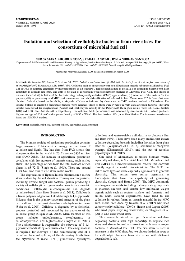 (PDF) Isolation and selection of cellulolytic bacteria from rice straw ...