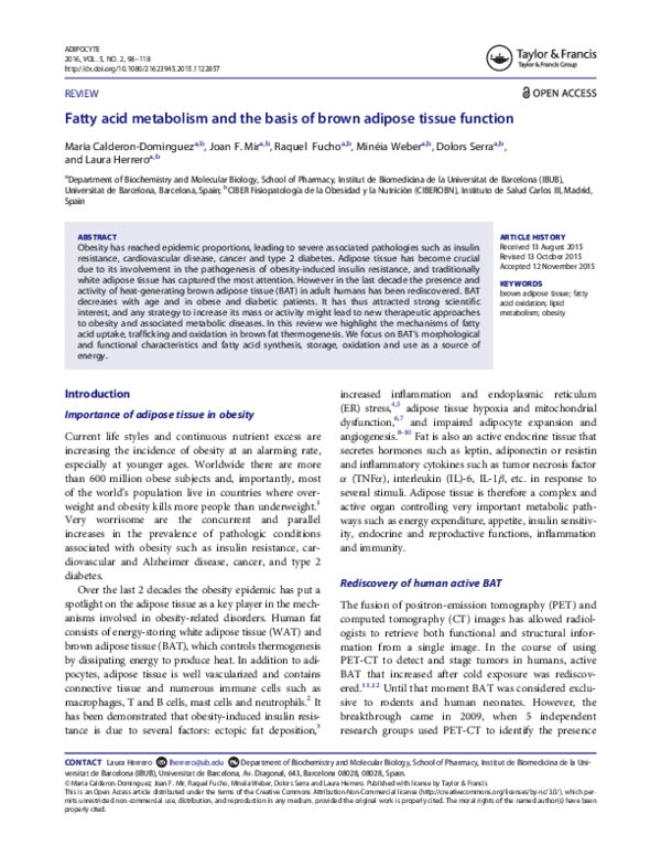 (PDF) Fatty acid metabolism and the basis of brown adipose tissue function